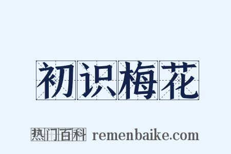 初识梅花是什么意思的图片